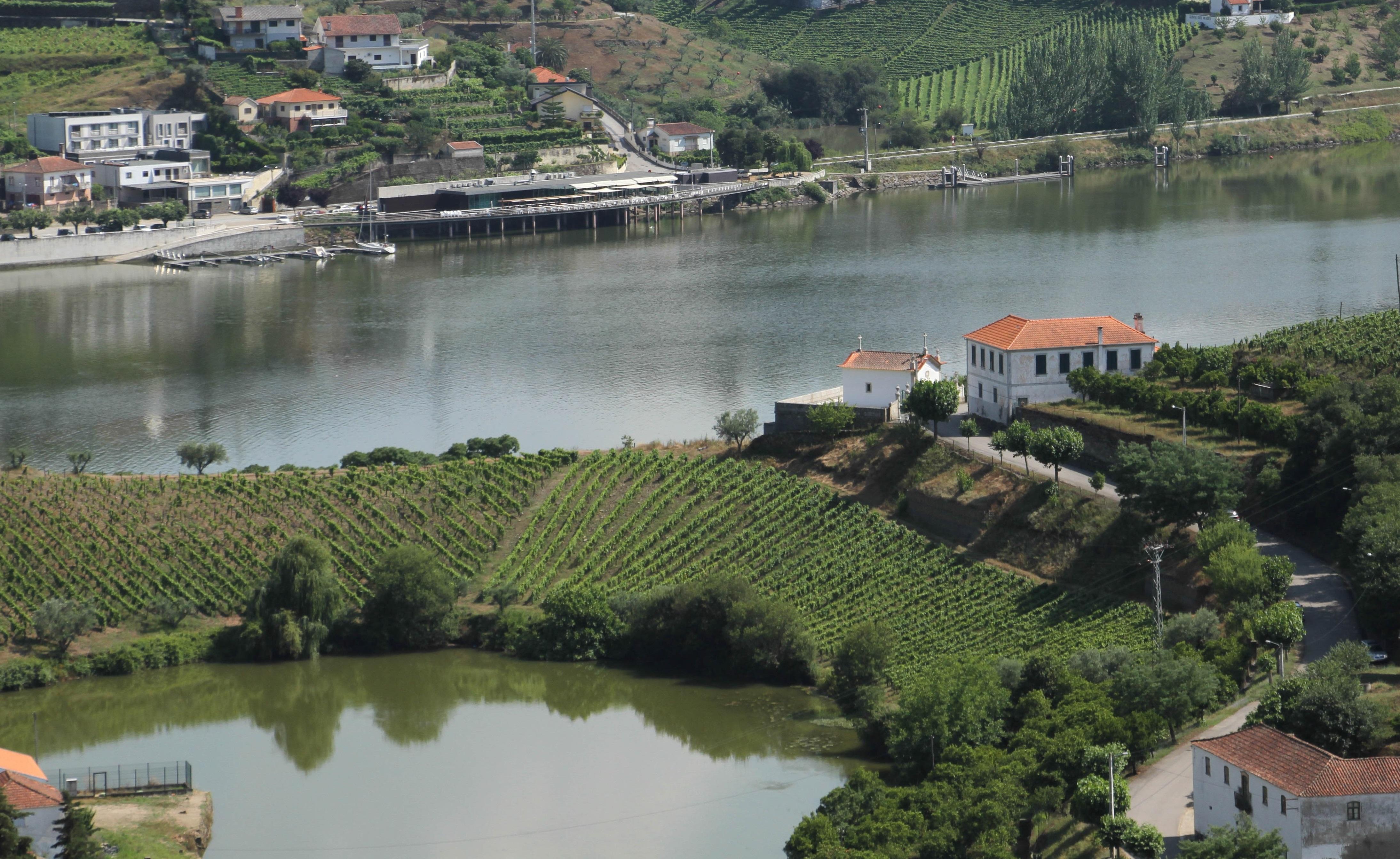 Hotel Folgosa Douro Армамар Экстерьер фото
