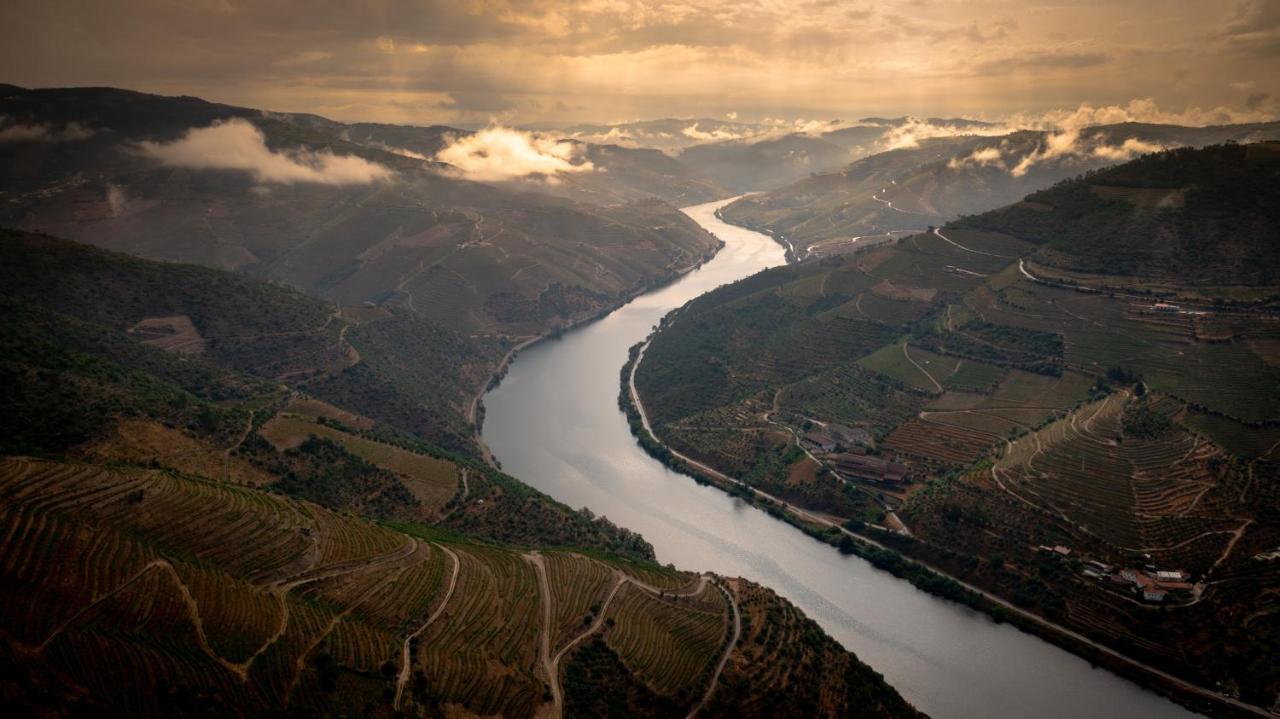 Hotel Folgosa Douro Армамар Экстерьер фото